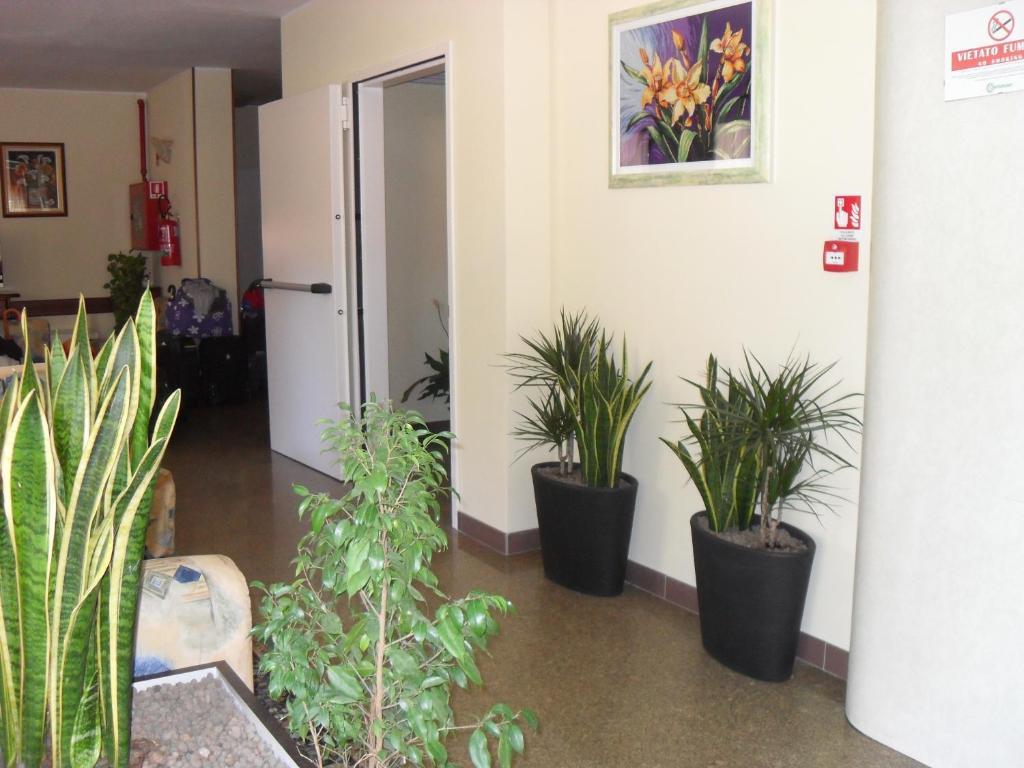 Hotel Zani Cervia Bagian luar foto